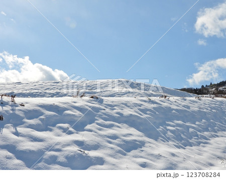 晴れた日の雪の姨捨棚田を仰角撮影 123708284
