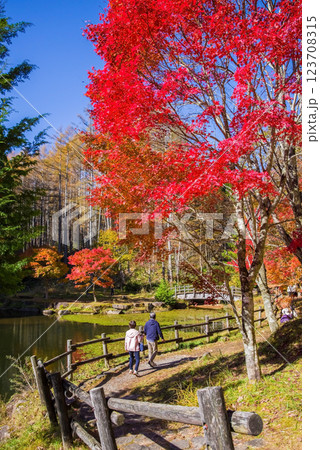 飛騨せせらぎ街道の紅葉《岐阜県高山市清見町西ウレ峠》 飛騨せせらぎ街道の紅葉《岐阜県高山市清見町西ウレ峠》 123708315