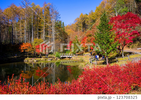 飛騨せせらぎ街道の紅葉《岐阜県高山市清見町西ウレ峠》 123708325
