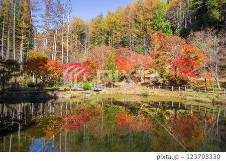 飛騨せせらぎ街道の紅葉《岐阜県高山市清見町西ウレ峠》 123708330