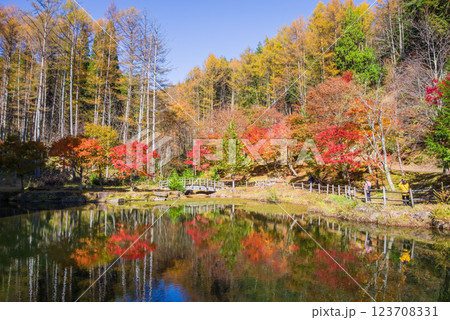 飛騨せせらぎ街道の紅葉《岐阜県高山市清見町西ウレ峠》 123708331