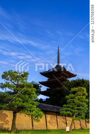 京都_東寺の五重塔と夜明けの風景 京都_東寺の五重塔と夜明けの風景 123708399