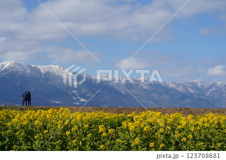 比叡山をのぞむ菜の花畑 123708681