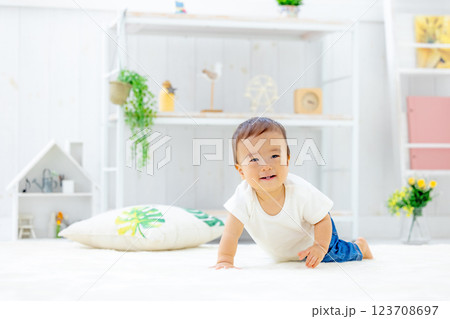 赤ちゃん ハイハイ 赤ちゃん ハイハイ 123708697