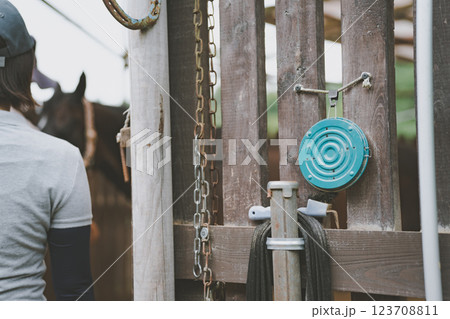 involved with horses involved with horses 123708811