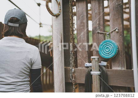 involved with horses 123708812