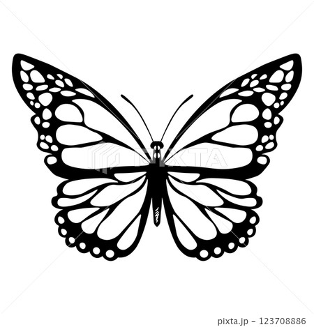 Funny black and white butterfly. Color flat vector of detailed butterflies. Cute characters. Card, postcards for kids. Silhouette icon 123708886