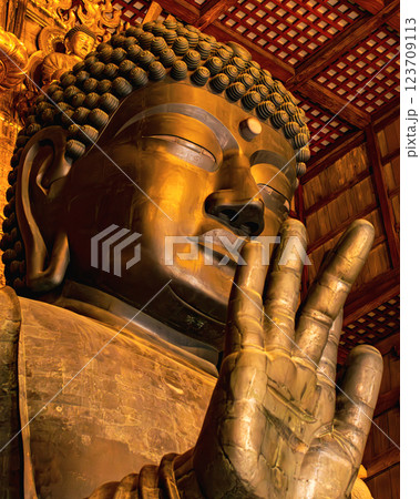 奈良　東大寺 123709113