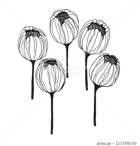 Set of tulip silhouette. Collection of hand drawn various decorative blooming tulips. Elegant botanical vector illustration Set of tulip silhouette. Collection of hand drawn various decorative blooming tulips. Elegant botanical vector illustration 123709250