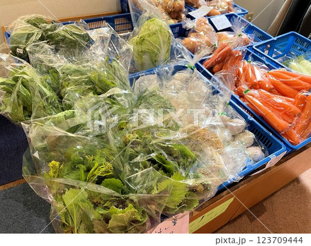 田舎にある生産者直売八百屋、無人の野菜販売、無人販売の野菜売り場 123709444