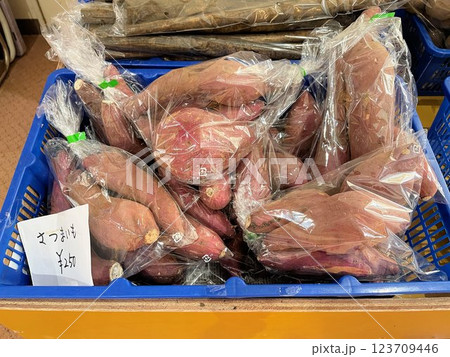 田舎にある生産者直売八百屋、無人の野菜販売、無人販売の野菜売り場 123709446