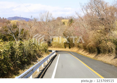 大阪、奈良、境の山、生駒山、信貴生駒スカイライン、生駒山信貴山山頂スカイライン、冬ドライブ 123709515