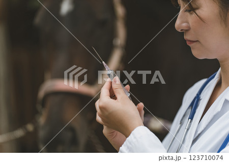 involved with horses involved with horses 123710074