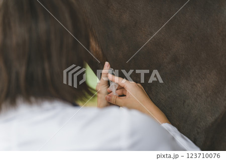 involved with horses involved with horses 123710076