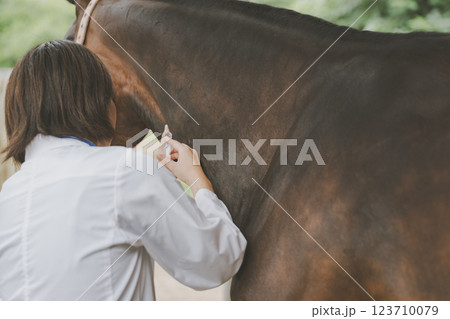 involved with horses 123710079