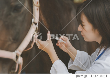 involved with horses 123710081