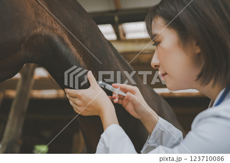 involved with horses 123710086