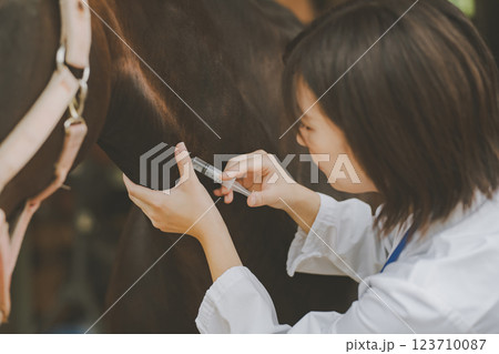 involved with horses 123710087