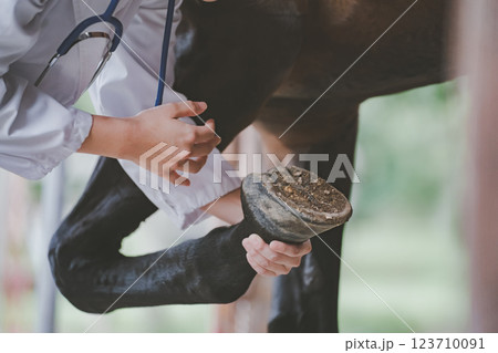 involved with horses 123710091