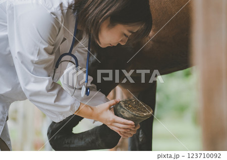 involved with horses 123710092
