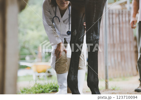 involved with horses 123710094