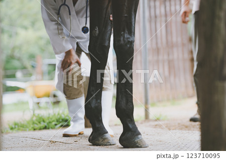 involved with horses 123710095