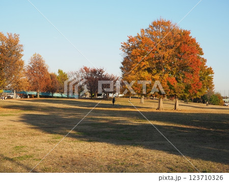 東伏見公園 123710326