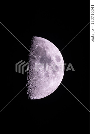 2025年03月07日　月齢7.42　19時55分　上弦の月 123710341