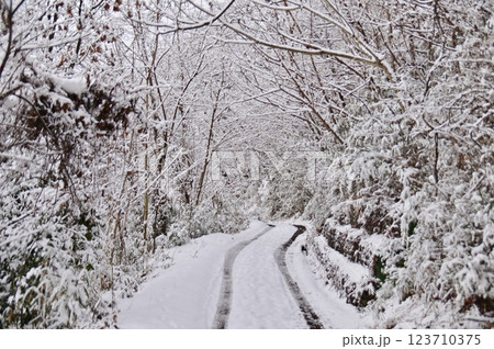 雪の積もった篠山遊歩道の冬景色 123710375