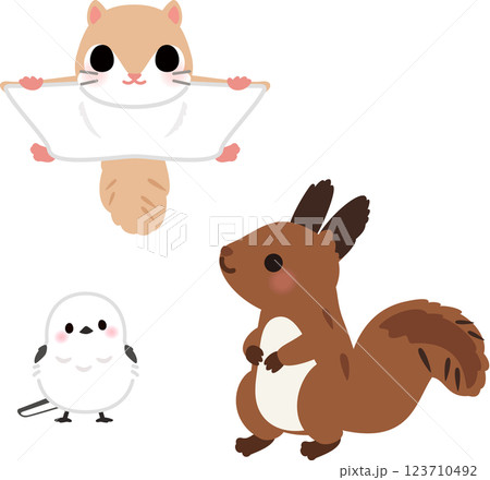 エゾモモンガ、シマエナガ、エゾリスのデフォルメイラスト 123710492