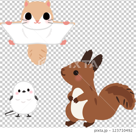 エゾモモンガ、シマエナガ、エゾリスのデフォルメイラスト 123710492