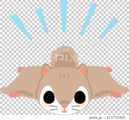 A deformed illustration of a flying squirrel 123710495
