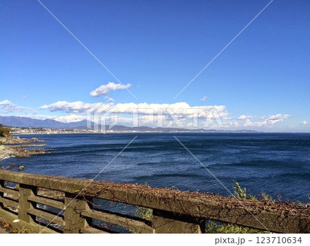 橋の上からの海 123710634