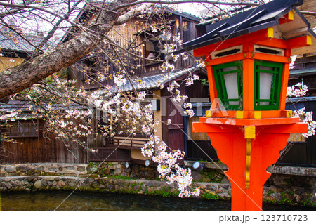 【京都風景】祇園白川の桜は艶やかな装い 【京都風景】祇園白川の桜は艶やかな装い 123710723