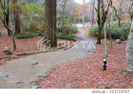 神戸市の有馬温泉の瑞宝寺公園の遅い紅葉 123710767