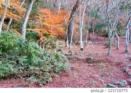 神戸市の有馬温泉の瑞宝寺公園の遅い紅葉 123710775