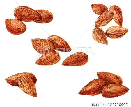 アーモンド素材セット　水彩素材 123710905