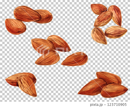 アーモンド素材セット　水彩素材 123710905