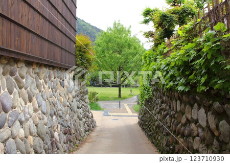 春の織田信長の城下町・30（岐阜公園） 123710930