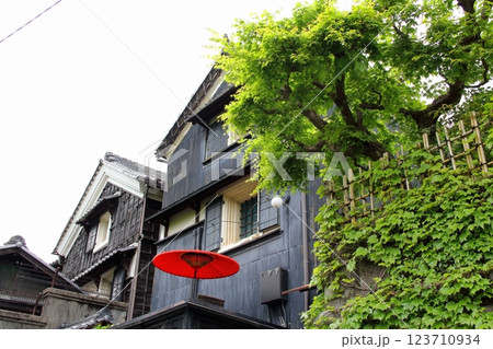 春の織田信長の城下町・34（岐阜公園） 123710934