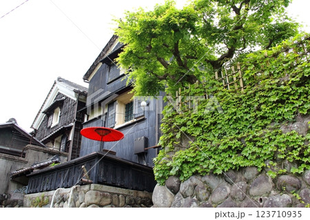 春の織田信長の城下町・35（岐阜公園） 123710935