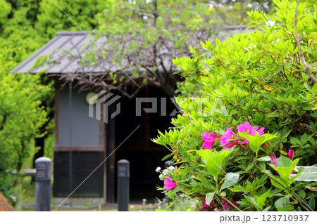 春の織田信長の城下町・37（岐阜公園） 123710937