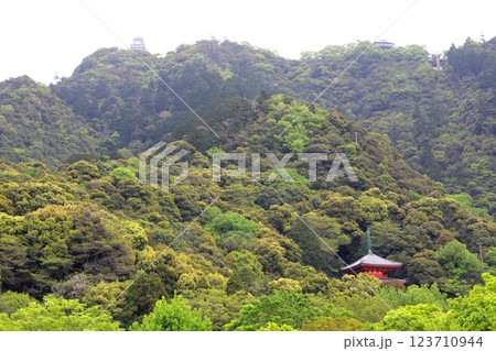 春の織田信長の城下町・44（岐阜公園） 123710944