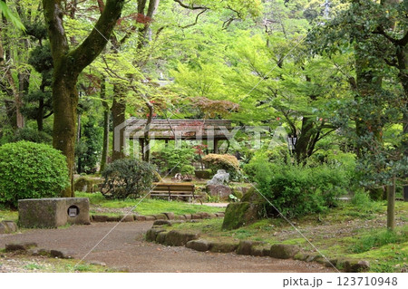 春の織田信長の城下町・48（岐阜公園） 123710948