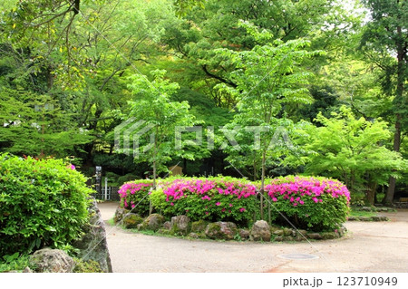 春の織田信長の城下町・49(岐阜公園) 春の織田信長の城下町・49(岐阜公園) 123710949