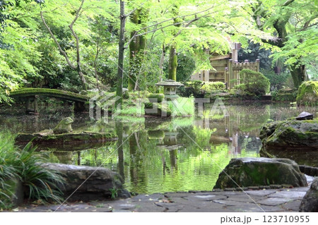 春の織田信長の城下町・2(岐阜公園) 春の織田信長の城下町・2(岐阜公園) 123710955