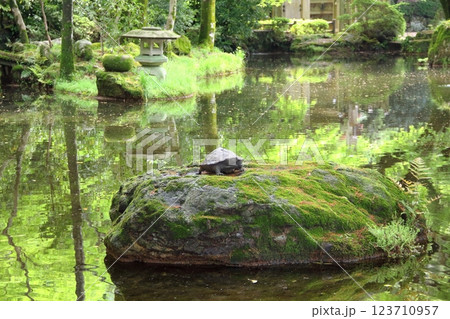 春の織田信長の城下町・4（岐阜公園） 123710957