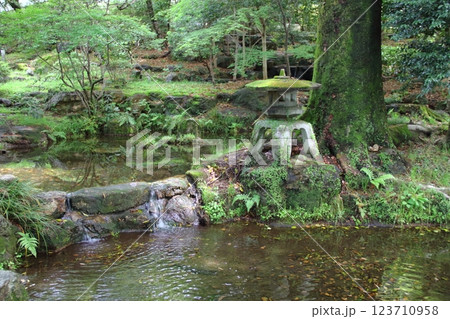 春の織田信長の城下町・5（岐阜公園） 123710958