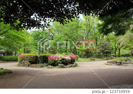 春の織田信長の城下町・6（岐阜公園） 123710959