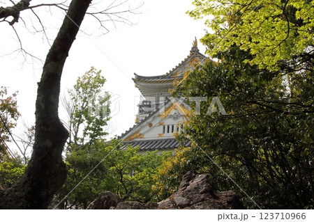 春の織田信長の城下町・13（岐阜公園） 123710966